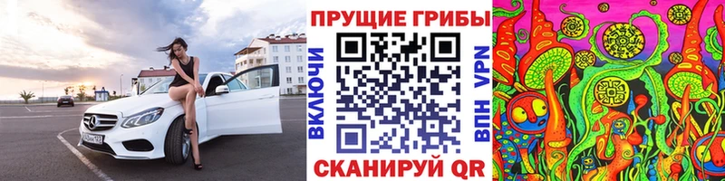 Галлюциногенные грибы Psilocybe  Солигалич 